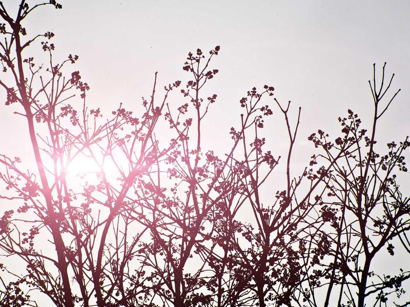 sudoku hard screenshot 5