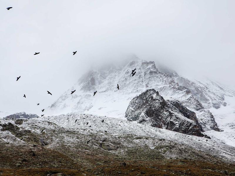 accessibility screenshot 1